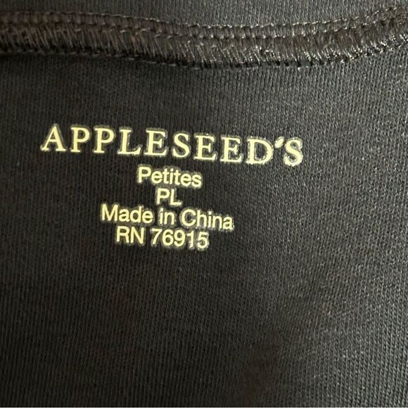 Appleseed’s Black A-Line Full Stretchy Skirt Sz PL - Picture 2 of 5